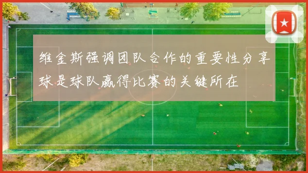 维金斯强调团队合作的重要性分享球是球队赢得比赛的关键所在