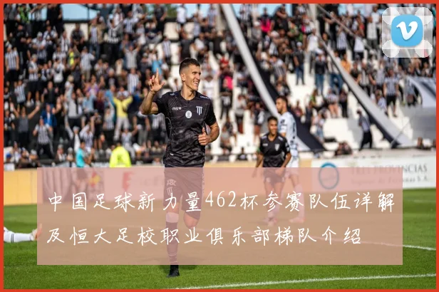 中国足球新力量462杯参赛队伍详解及恒大足校职业俱乐部梯队介绍